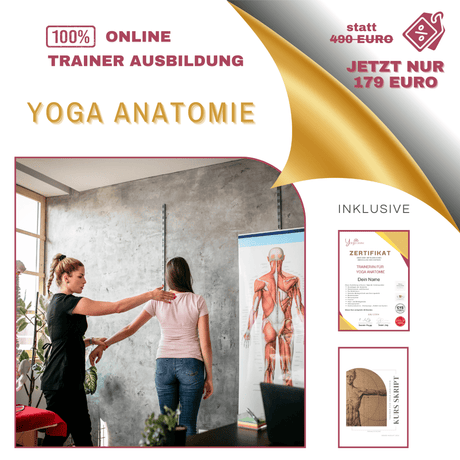 Trainer/in für Yoga Anatomie - YogaLizenz.de